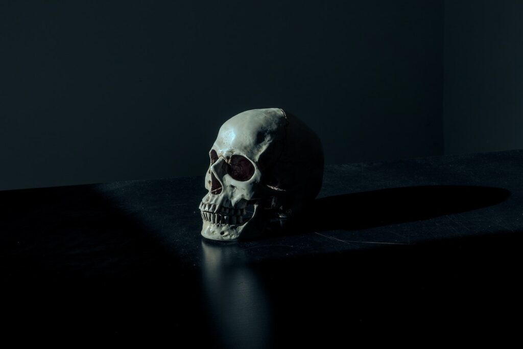Picture of a skull against a dark background. A kinda creepy image hinting that working full time might have killed me.